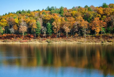 Tionesta göl ve baraj
