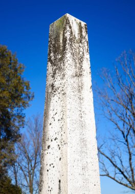 Yaz aylarında Allegheny Ulusal Ormanı