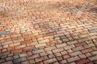 Yaz aylarında Allegheny Ulusal Ormanı