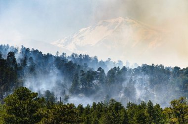 San Francisco Peaks Coconino Ulusal ormanı içinde