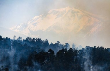 San Francisco Peaks Coconino Ulusal ormanı içinde
