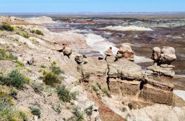 Taş Ormanı Ulusal Parkı