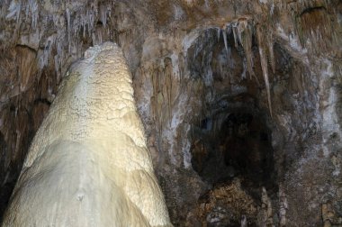 Carlsbad Mağaraları Ulusal Parkı