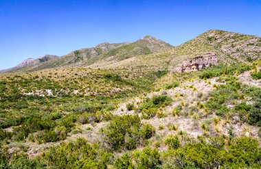 Guadalupe Dağları Ulusal Parkı