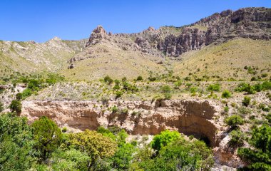 Guadalupe Dağları Ulusal Parkı