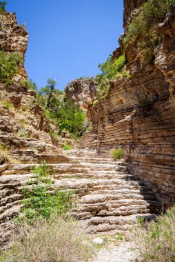 Guadalupe Dağları Ulusal Parkı