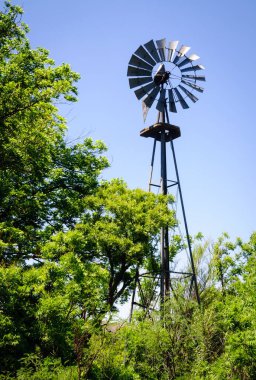 Big bend Milli Parkı