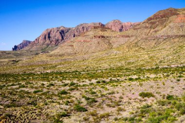 Big bend Milli Parkı