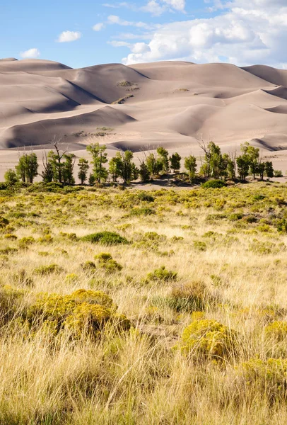 Great Sand Dunes National Park — Stock Photo, Image