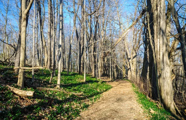 Long Point State Park — Zdjęcie stockowe