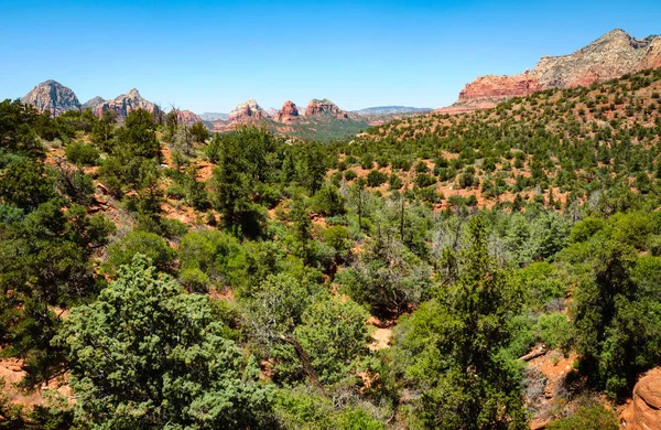 Sedona Arizona Désert Sonoran — Photo