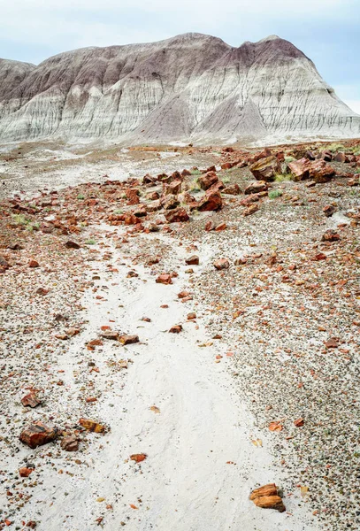 Petrified Forest National Park — Stock Fotó