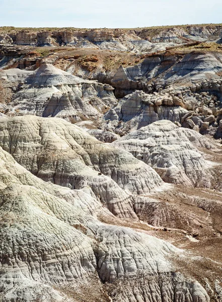 Petrified Forest National Park — Stock Photo, Image