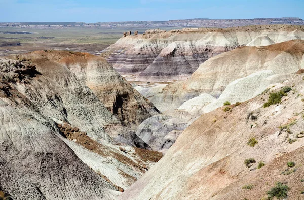 Nationaalpark Petrified Forest — Stockfoto