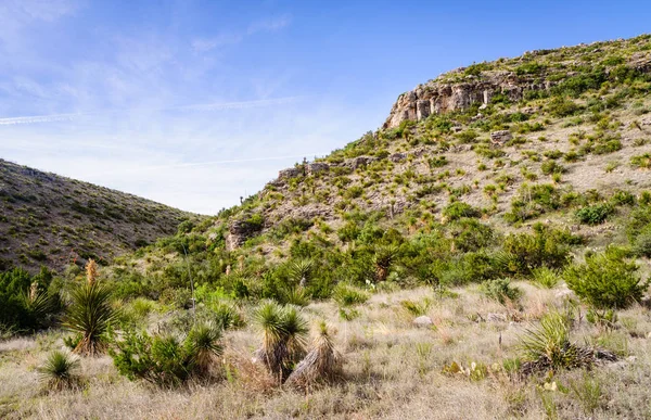 Carlsbad Mağaraları Ulusal Parkı