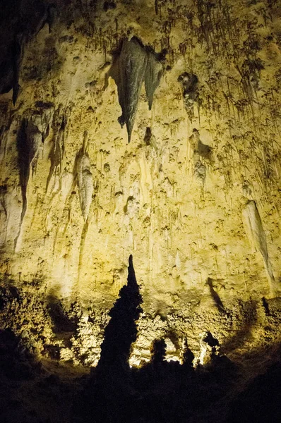 Parque Nacional Las Cavernas Carlsbad — Foto de Stock