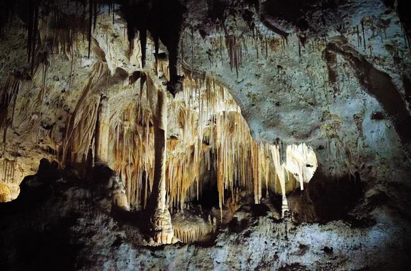 ทยานแห งชาต Carlsbad Caverns — ภาพถ่ายสต็อก