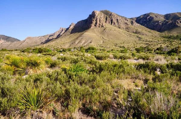 Parque Nacional Las Montañas Guadalupe — Foto de Stock