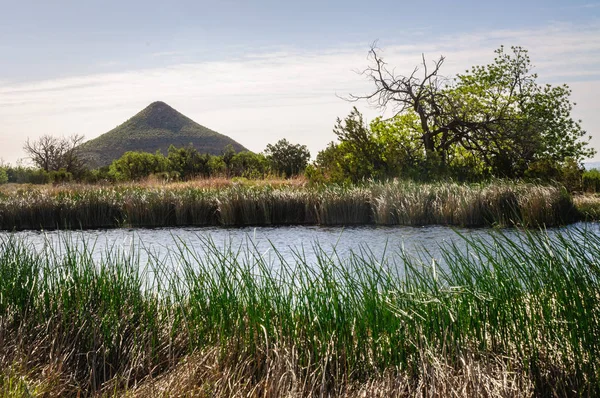 Nationaal Park Guadalupe Mountains — Stockfoto