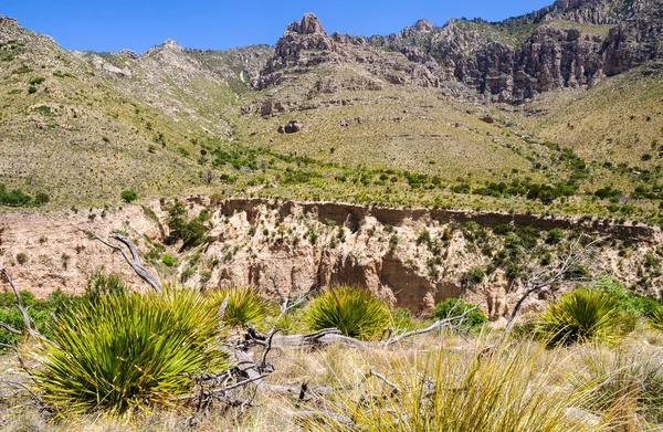 Guadalupe Mountains National Park — Stock Photo, Image