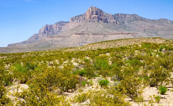 Parque Nacional Las Montañas Guadalupe — Foto de Stock