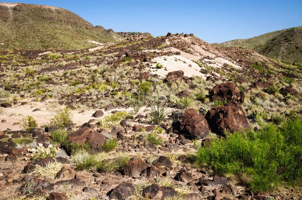 Big Bend National Park — Stock Photo, Image