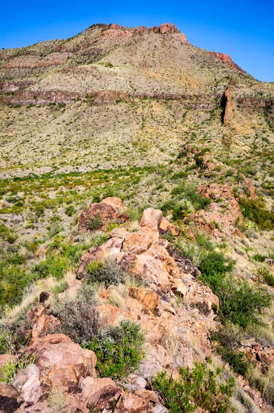 Parque Nacional Big Bend — Foto de Stock