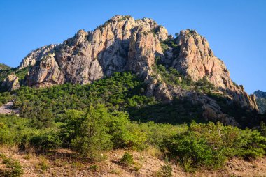 Big bend Milli Parkı