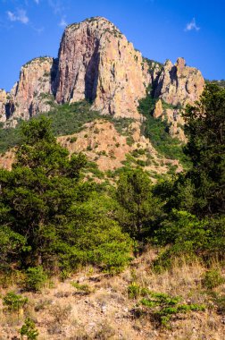 Big bend Milli Parkı