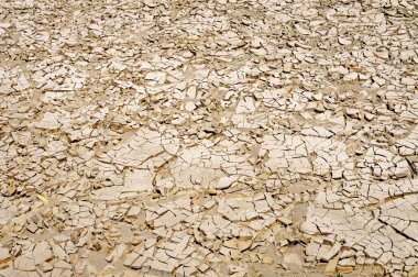 Big bend Milli Parkı