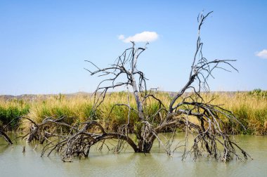 Big bend Milli Parkı