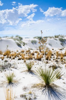 White Sands Ulusal Anıtı
