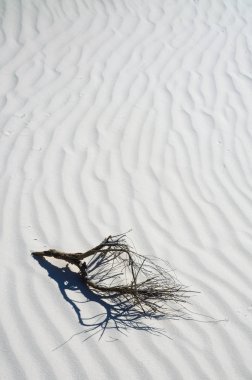 White Sands Ulusal Anıtı