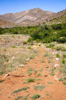 Fort Bowie National Historic Site