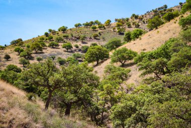 Coronado Ulusal Anıtı yatılı üzerinde