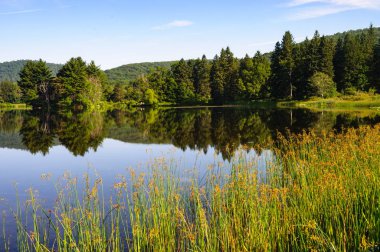 Allegany State Park, Allegany