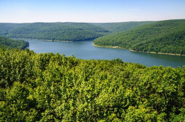 Allegheny National Forest, Pennsylvania clipart