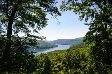 Allegheny Ulusal Ormanı, Pennsylvania