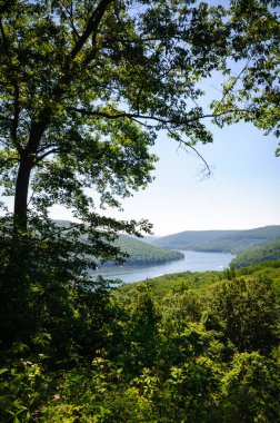 Allegheny Ulusal Ormanı, Pennsylvania