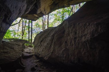 Allegheny Ulusal Ormanı, Pennsylvania