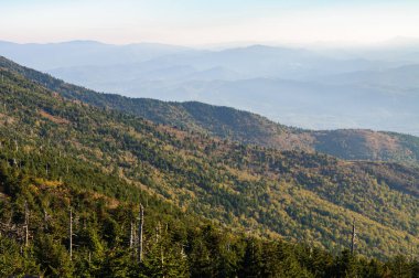Mount Mitchell State Park