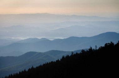 Mount Mitchell State Park