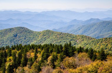 Blue Ridge Parkway, Milli Park Servisi