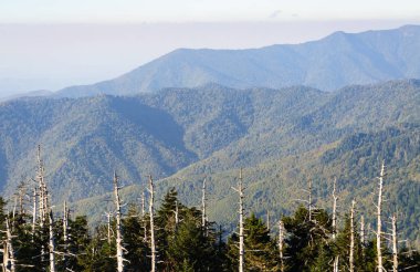 büyük smoky Dağları Milli Parkı