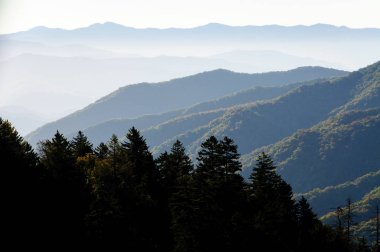 büyük smoky Dağları Milli Parkı