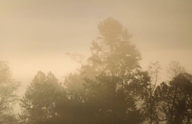 büyük smoky Dağları Milli Parkı