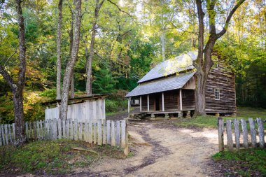 büyük smoky Dağları Milli Parkı