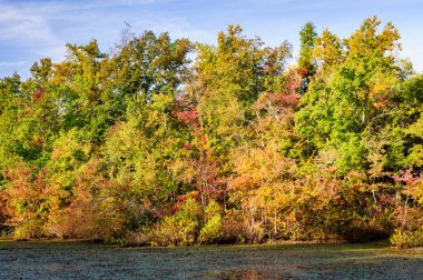 mamut Mağarası Milli Parkı