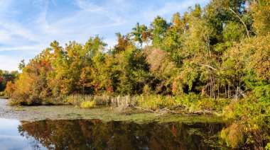 mamut Mağarası Milli Parkı