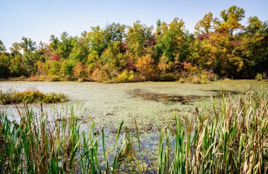 mamut Mağarası Milli Parkı